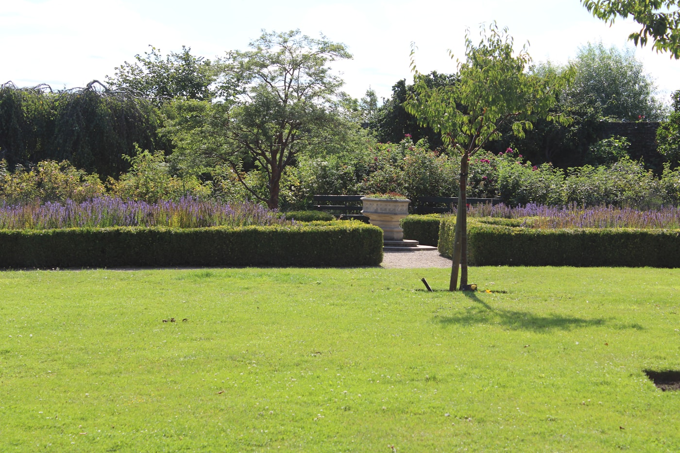 A bright lawn bordered by clipped hedges, purple flowers, rose bushes, and small ornamental trees.